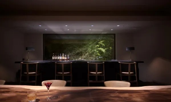 Hotel The Celestine Kyoto Gion — property photograph